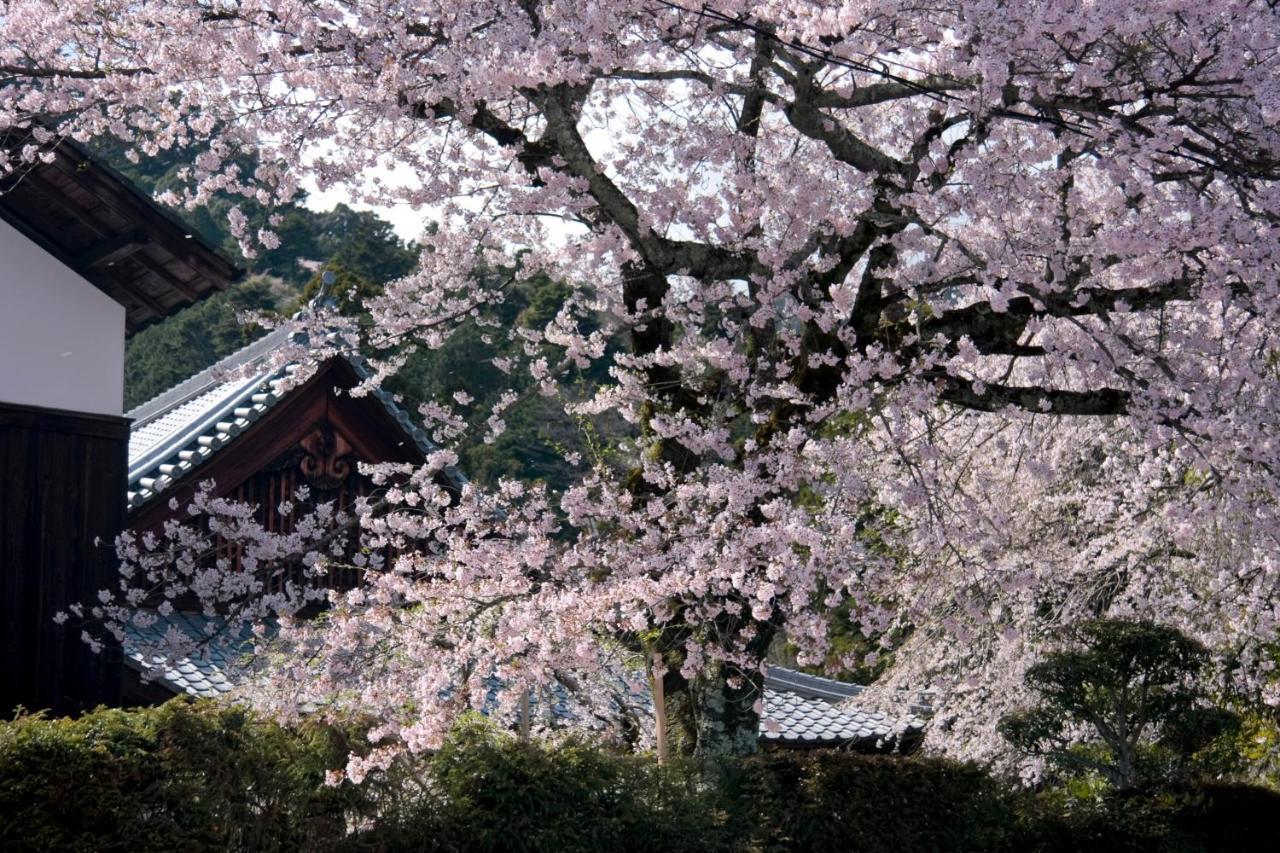 ホテル ロテルド比叡 京都市 エクステリア 写真