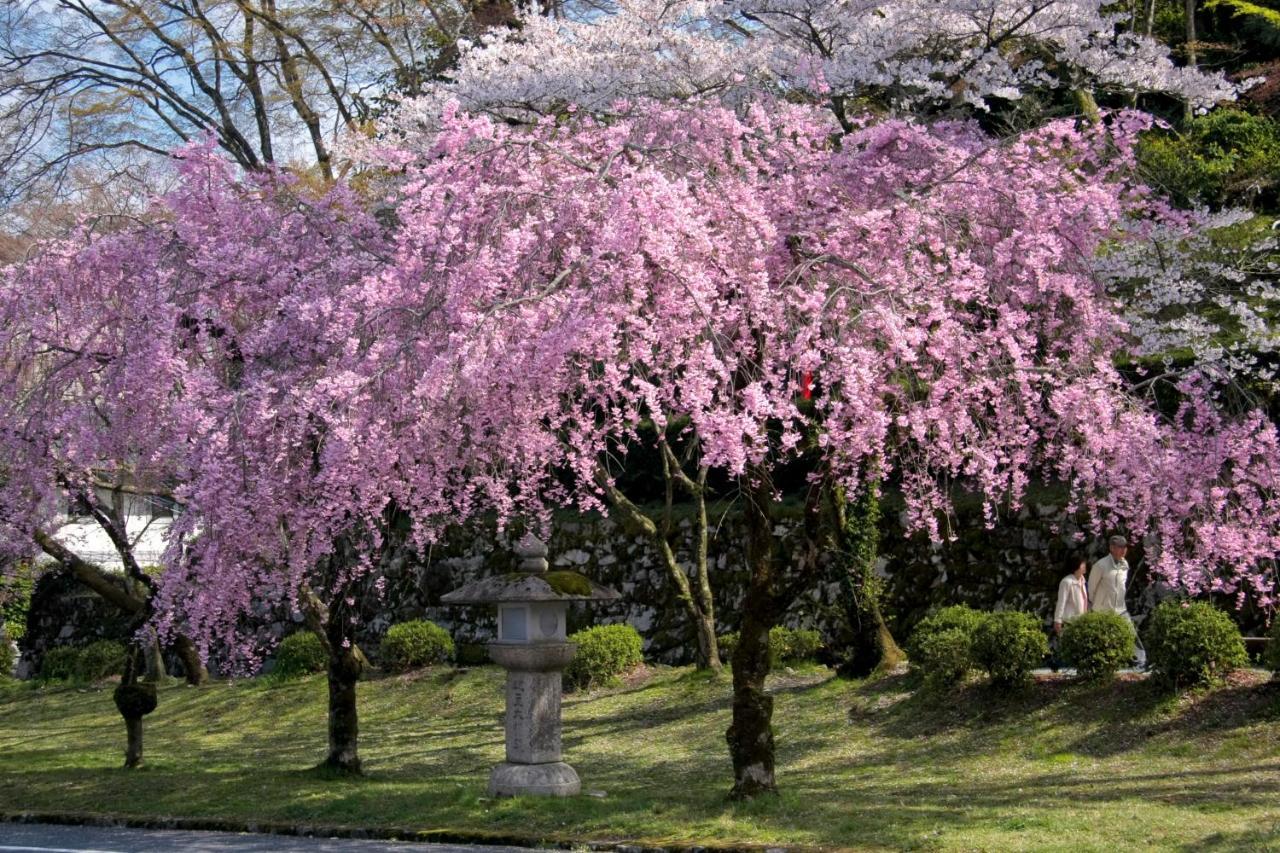 ホテル ロテルド比叡 京都市 エクステリア 写真