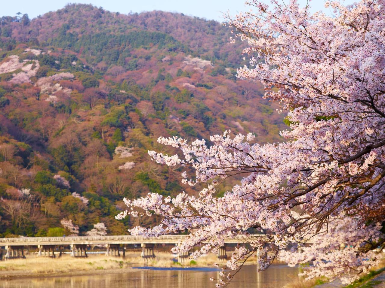 ホテル ロテルド比叡 京都市 エクステリア 写真